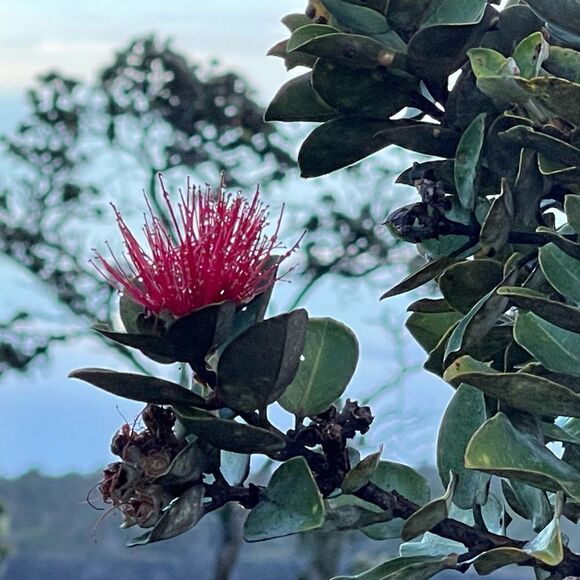 Hello! I’m Karen, Ambassador II. 🤗😎 - Picture 9 of 10